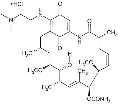 Development and Characterization of PLGA Nanoparticles Containing 17-DMAG, an Hsp90 Inhibitor